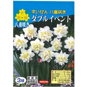 花・球根　八重咲きすいせん　スイセン　水仙（ダブルイベント）3球入［秋植え球根］