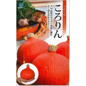 野菜の種/種子　ころりん   かぼちゃ 南瓜　カボチャ　9粒　　（メール便発送）｜vg-harada