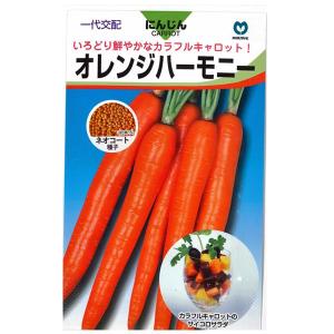 野菜の種/種子 カラフルニンジン 音色 ねいろ にんじん キャロット