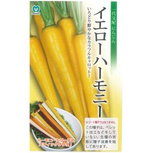 野菜の種/種子 オレンジハーモニー ニンジン にんじん キャロット