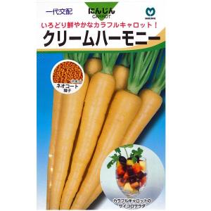 野菜の種/種子 オレンジハーモニー ニンジン にんじん キャロット