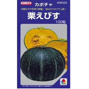 野菜の種/種子 ゴールドラッシュ88・とうもろこし トウモロコシ 2000粒