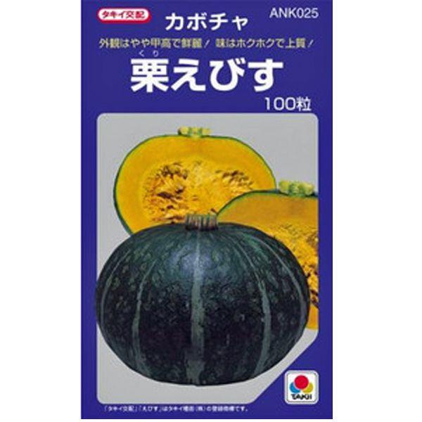 野菜の種/種子 栗えびす・かぼちゃ カボチャ 南瓜 100粒（メール便発送/大袋）タキイ種苗