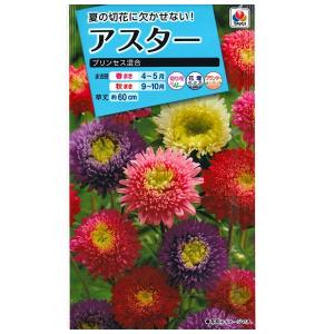 花の種　アスター［プリンセス混合］　1ml（メール便発送）タキイ種苗
