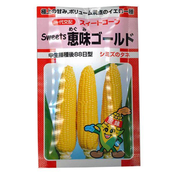 野菜の種/種子　Sweets 恵味ゴールド　とうもろこし 約200粒　（メール便発送）【1月上旬頃発...