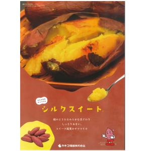 バイオ(ウイルスフリー)苗 シルクスイート P...の詳細画像3