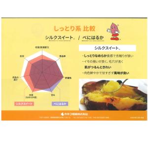 バイオ(ウイルスフリー)苗 シルクスイート P...の詳細画像5