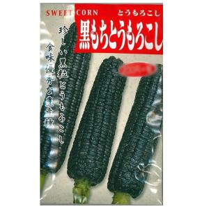 野菜の種/種子　黒もちとうもろこし　トウモロコシ　もろこし