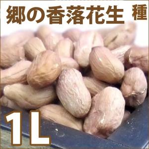 野菜・種/苗　郷の香落花生/落花生・ピーナッツ　生もの種　量り売り1L　[約600〜700粒]【3月下旬頃より順次発送】｜vg-harada