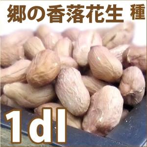 【数量限定！】野菜・種/苗　郷の香落花生/落花生・ピーナッツ　生もの種　量り売り1dl　[約60〜70粒]【3月下旬頃より順次発送】｜ベジタブルガーデン ハラダ