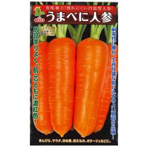 数量限定】果物の苗 とちおとめ イチゴ ・いちご苗 3ポットセット