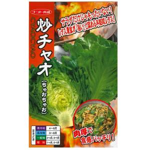野菜の種/種子　炒チャオ(ちゃおちゃお)　レタス　0.7ml　（メール便発送）