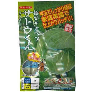 大人気！】野菜・種/種子 おおまさりネオ 落花生・生もの種 2dl(約70粒