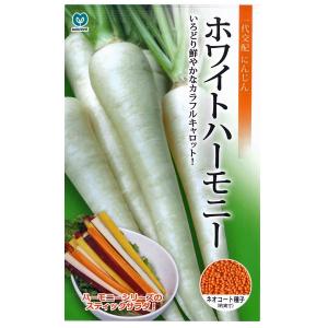 人参の種 らいむ五寸 コート1万粒 ( 野菜の種 ) : 菜園くらぶ Yahoo!店