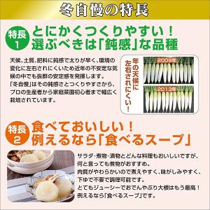 野菜の種/種子 冬自慢 大根 10ml(メール...の詳細画像2