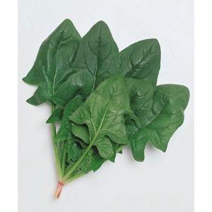 野菜の種/種子 おかめ・ほうれんそう ほうれん草 法蓮草 1L（大袋）タキイ種苗