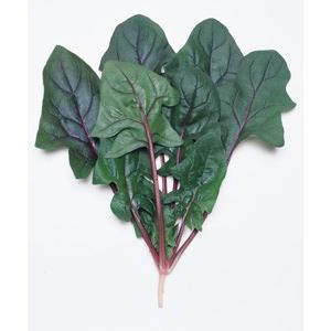 野菜の種/種子 早生サラダあかり・ほうれんそう ほうれん草 法蓮草 1L（大袋）タキイ種苗