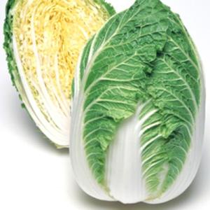 野菜の種/種子 きらぼし90・ハクサイ・白菜 0...の商品画像