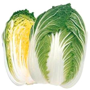 野菜の種/種子 黄ごころ80・ハクサイ・白菜 1.0ml（メール便発送）タキイ種苗