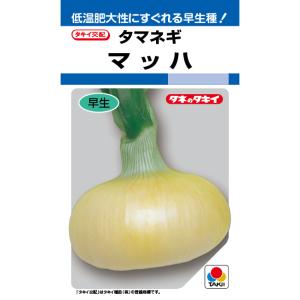 野菜の種/種子 マッハ・タマネギ 2dl(大袋...の詳細画像1