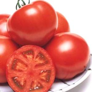 野菜の種/種子 CF桃太郎ヨーク・トマト 1000粒（メール便発送/大袋）タキイ種苗