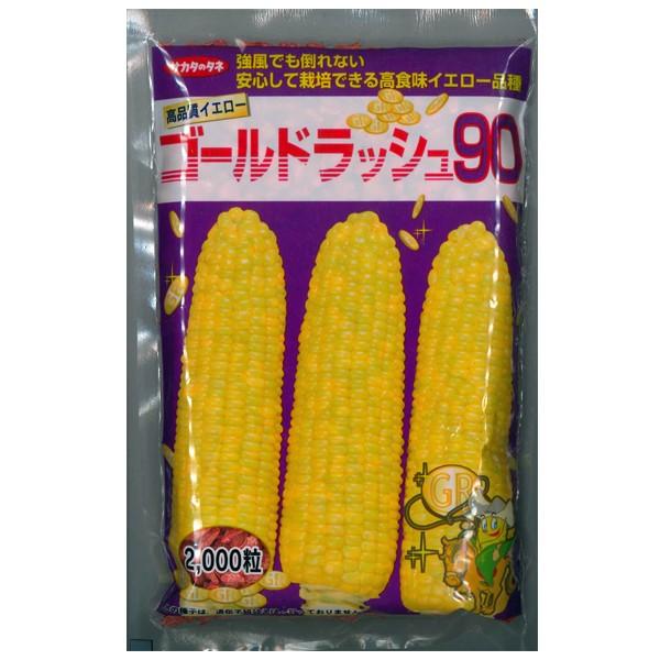 野菜の種/種子 ゴールドラッシュ90・とうもろこし 2000粒 (大袋) サカタのタネ 種苗