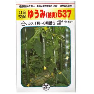 野菜の種/種子 ゴールドラッシュ88・とうもろこし トウモロコシ 2000粒
