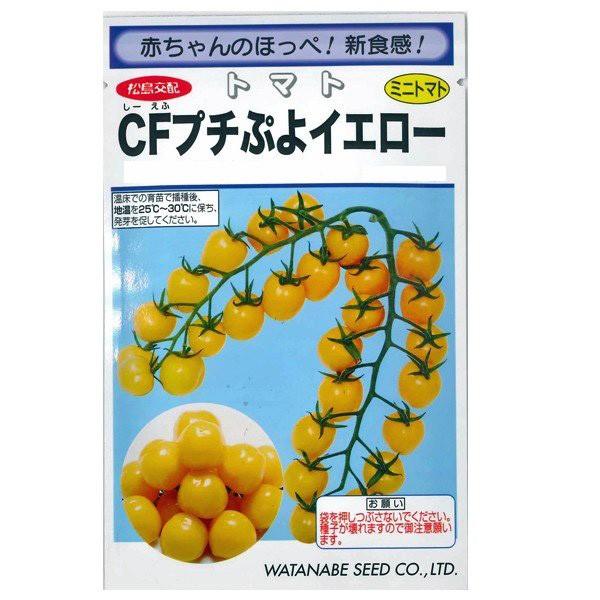 野菜の種/種子　CFプチぷよイエロー・ミニトマト　とまと　８粒（メール便発送）