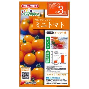 野菜の種/種子 ファイトリッチ カロテンリッチ オレンジ千果・ミニトマト 15粒（メール便発送）タキイ種苗｜vg-harada