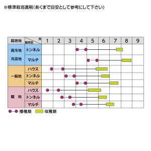 野菜の種/種子 ゴールドラッシュネオ・とうもろ...の詳細画像1