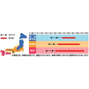 花の種(営利用)キンレンカ ナスタチウム(ナス...の詳細画像1