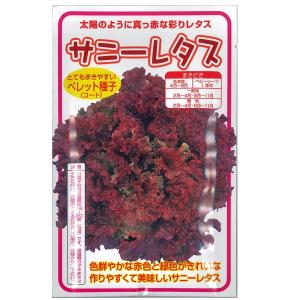 バイオ(ウイルスフリー)苗 紅はるか PVP登録品種 べにはるか