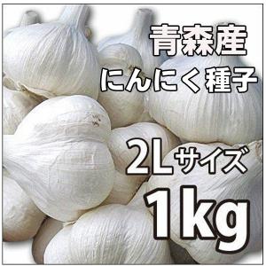 大特価！国産 青森県産 ニンニク種子　にんにく種子　福地ホワイト　2Lサイズ(約10個)　1kg　【8月中旬頃発送予定】
