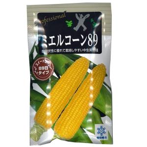 大人気！】野菜の種/種子 甘々娘・とうもろこし・トウモロコシ