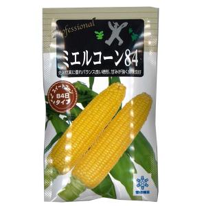 トウモロコシ種子】ダイヤ交配（トキタ種苗）ミルキーシュガー85（みる
