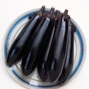 野菜の種/種子 ゴールドラッシュ・とうもろこし 2000粒 (大袋)サカタの