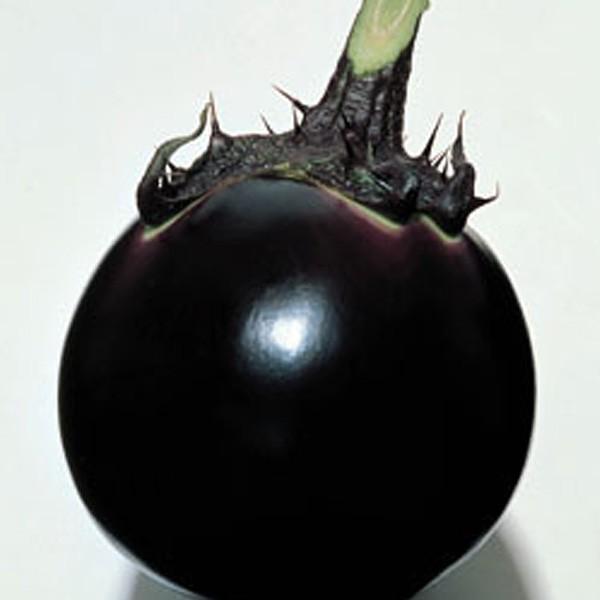 野菜の種/種子 早生大丸・ナス 茄子 なす 80粒（メール便発送）タキイ種苗