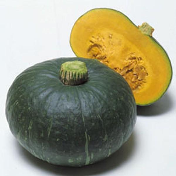 野菜の種/種子 つるなしやっこ・カボチャ かぼちゃ 100粒（メール便発送）タキイ種苗