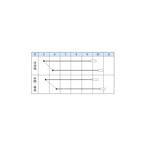 野菜の種/種子 鶴の子大豆・大豆 60ml(メ...の詳細画像1