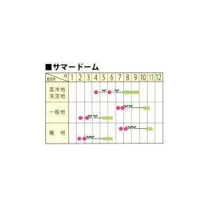 野菜の種/種子 サマードーム・ブロッコリー 5...の詳細画像1