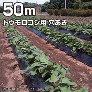 セキスイ、黒マルチシート、引き取り限定！ 51PVlDDdGFL._AC_UF350,