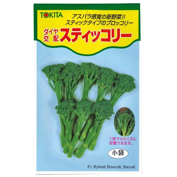 野菜の種/種子　スティッコリー・茎ブロッコリー　1ml　（メール便発送）