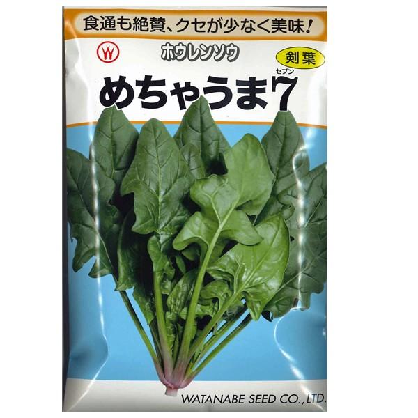 野菜の種/種子　めちゃうま7　ほうれんそう　ホウレンソウ　ほうれん草　法蓮草　1dl　（メール便発送...
