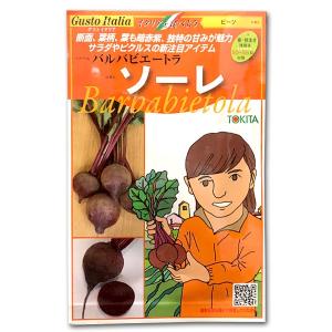 野菜の種/種子 ソーレ・バルバビエートラ ビーツ イタリア野菜 80粒（メール便発送）｜vg-harada