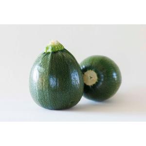 野菜・種/苗 白実はやとうり 千成うり 千成瓜 隼人瓜 ハヤトウリ 種