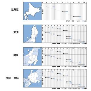 野菜の種/種子 ニューコメット・ラディッシュ・...の詳細画像1