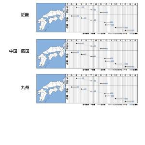 野菜の種/種子 ニューコメット・ラディッシュ・...の詳細画像2