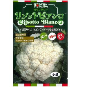 大特価！】野菜の種/種子 甘々娘・かんかんむすめ・とうもろこし