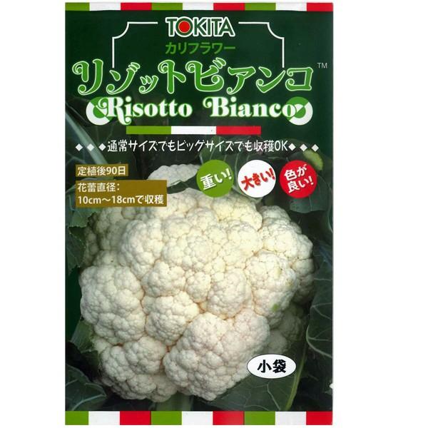 野菜の種/種子　リゾット ビアンコ９０　カリフラワー　50粒　（メール便発送）トキタ種苗