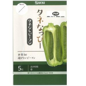 野菜の種/種子 タネなっぴー・種なしピーマン 5...の商品画像